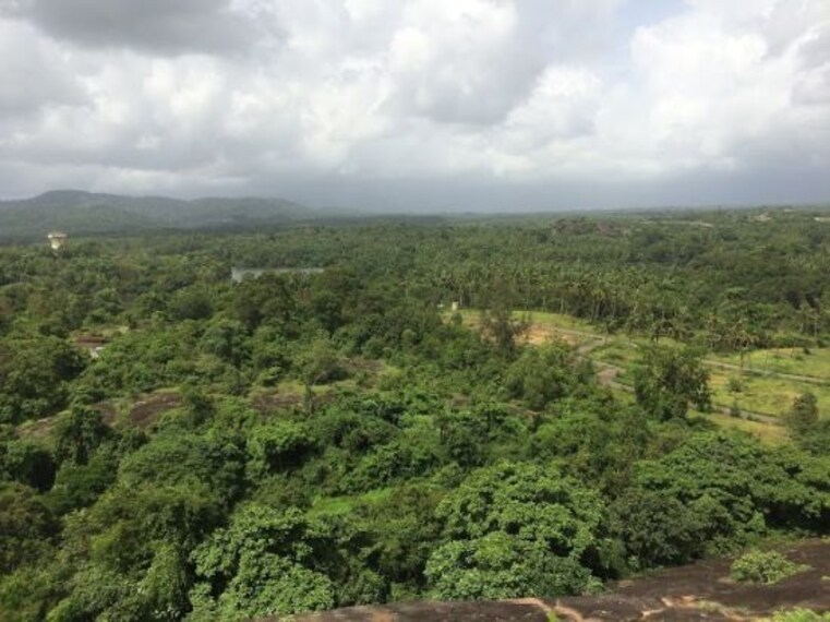 Gomateshwara Statute-3